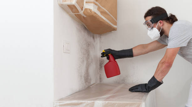 Professional Mold Removal technician working in Saint James, NY